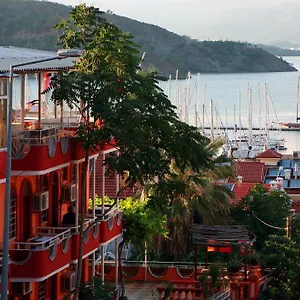 5* Pensión Ideal